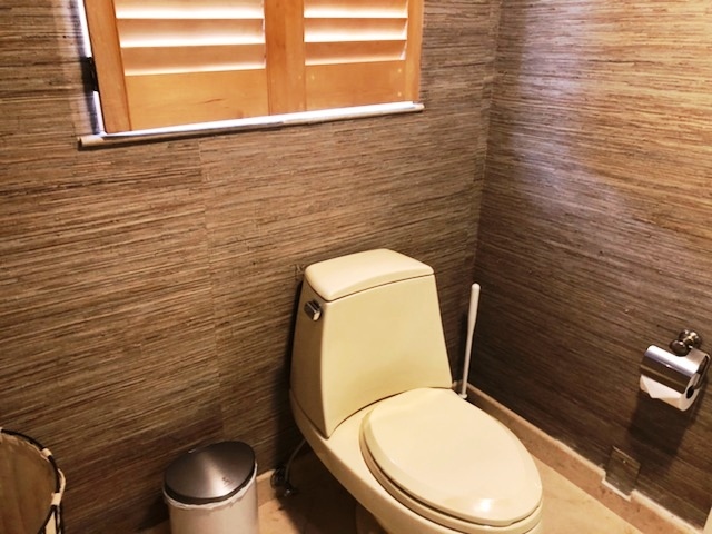 Master Toilet